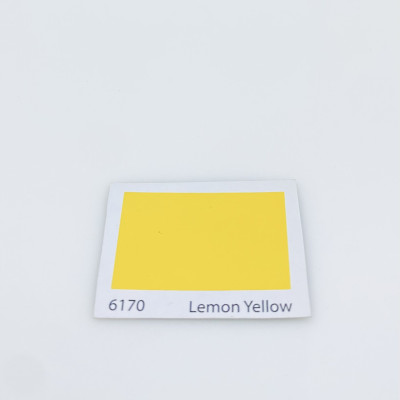 Sơn dầu Đồng Nai Donasa màu vàng 6170 3kg _ DLF 6170