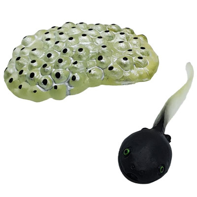 Đồ Chơi Mô Hình Vòng Đời Tự Nhiên - Ếch Lớn Lên Như Thế Nào? - Firstar DK81256