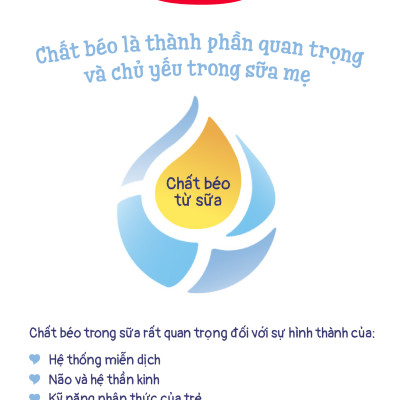 Thùng 12 hộp Sữa bột công thức Semper Bifidus số 1 400g/hộp