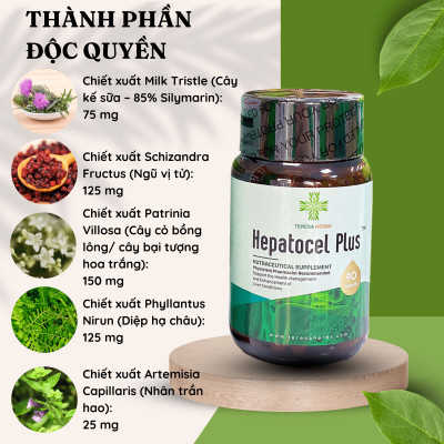 Thực phẩm bảo vệ sức khỏe Tăng cường chức năng gan Hepatocel Plus Teresa Herbs (Lọ 90 viên)