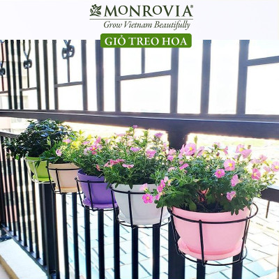 Combo 3 Giỏ treo chậu hoa ban công MONROVIA, giỏ sắt treo chậu hoa ban công, chậu treo ban công, kệ treo ban công, móc treo, khung thép, sơn tĩnh điện chính hãng thương hiệu MONROVIA - Màu Trắng