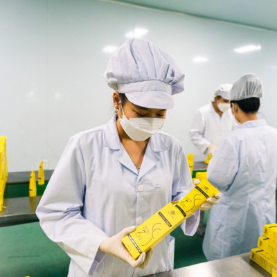 Kem Massage cream Mychi - Vamico Group