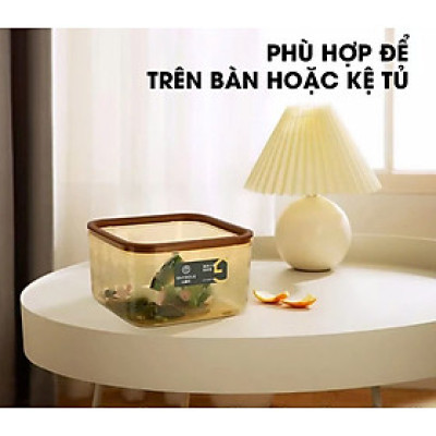 Hộp Đựng Rác Để Bàn Nắp Bật - Thùng Rác Mini Họa Tiết Trong Suốt - HENRYSA