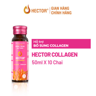 Bộ 3 Hộp 10 Chai Nước nấm Đông Trùng Hạ Thảo HECTOR Collagen bố sung collagen, hỗ trợ làm đẹp da (30x50ml)