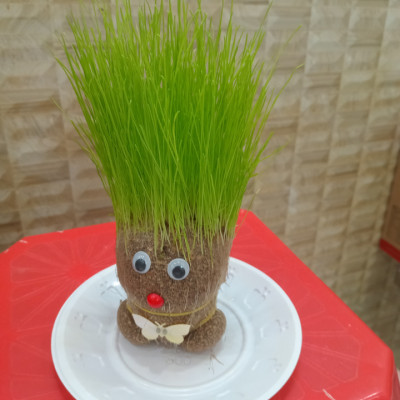 Búp bê đầu cỏ sản phẩm trang trí phòng khách bàn làm việc hoặc cho trẻ chăm sóc cây khám phá sự phát triển của cây hướng trẻ yêu thiên nhiên