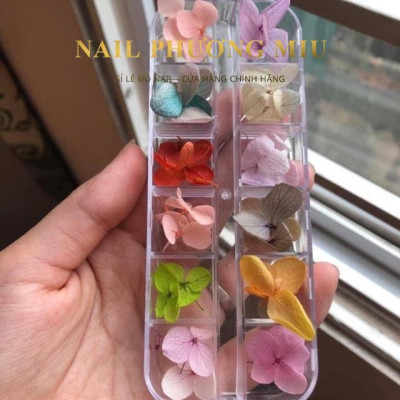 Hoa Khô Cánh To Trang Trí Móng, Nhiều Màu Sắc Độc Đáo, Thiết Kế Tinh Tế, Phụ Kiện Không Thể Thiếu Cho Làm Nail Phương Miu Nữ Women Vẽ Nail