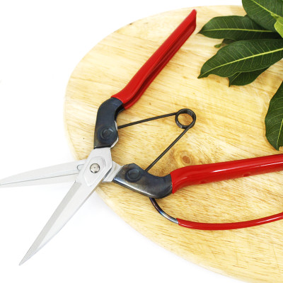 Kéo tỉa cành cao cấp Nhật Bản Chikamasa T-710GDX