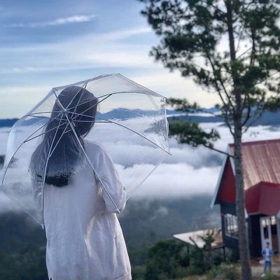 Ô Trong Suốt Cầu Vồng Nhiều Màu, Dài 70cm, Đường Kính 95cm, Phù Hợp Sự Kiện, Sống Ảo - HÀNG CHÍNH HÃNG MINIIN