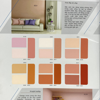 Sơn phào chỉ cho trần nhà Toa 4 Seasons Top Silk  màu C- 7294 _1L