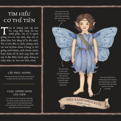 Sách - Cẩm Nang Về Tiên - Bìa Cứng