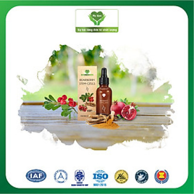 Bearberry Stem - Cells (15Ml)
