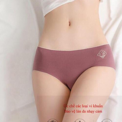 Combo 5 Quần lót nữ O2 Cotton Ép Không Đường May