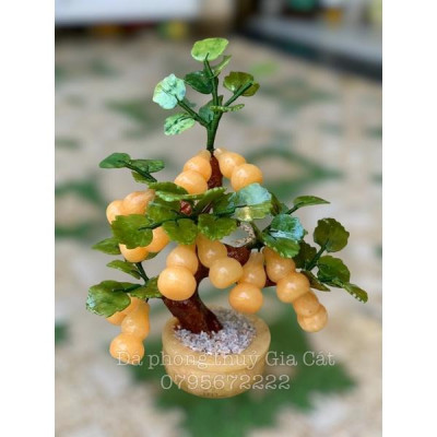 cây hồ lô đá ngọc hoàng long phong thuỷ