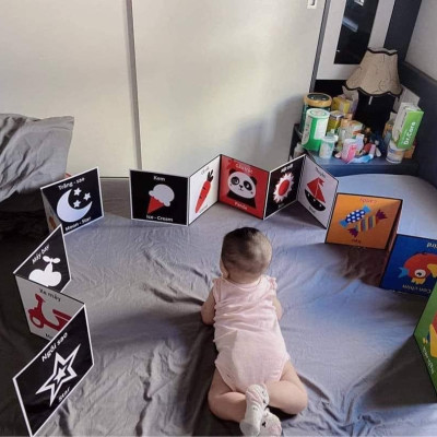 Thẻ Kích Thích Thị Giác Cho Trẻ Sơ Sinh, Trọn Bộ 3 Cuốn Kích Thích Thị Giác Song Ngữ Anh - Việt