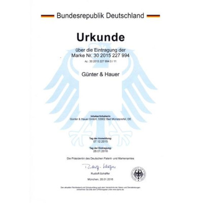 Günter & Hauer Máy Hút Bụi Cầm Tay Máy Hút Bụi Không Dây Sạc Điện 4 Trong 1 Đầu Chổi Một Máy Đa Năng LED Hiển Thị V20 - Hàng chính hãng