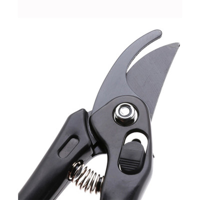 Kéo Cắt Tỉa Cây Cảnh 