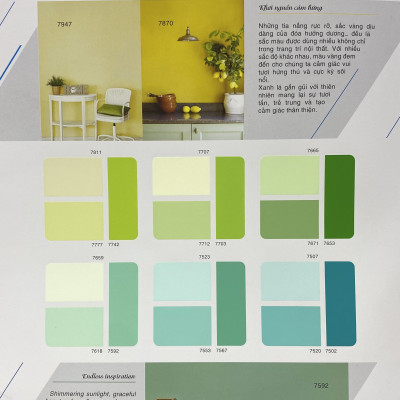 Sơn phào chỉ cho trần nhà Toa 4 Seasons Top Silk  màu C- 7870 _1L