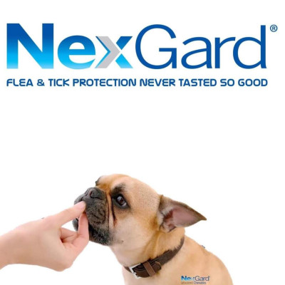 1 hộp NexGard trị ghẻ, viêm da, ve rận (chó từ 2 - 4kg, hộp 6 viên)