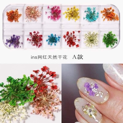 Set Hoa Khô Đắp Gel Ẩn Móng 12 Màu, Trang Trí Nail Độc Đáo, Tạo Hiệu Ứng Đẹp, Chùm Hoa Nhiều, Làm Nail Chuyên Nghiệp Women Nữ Sơn Gel