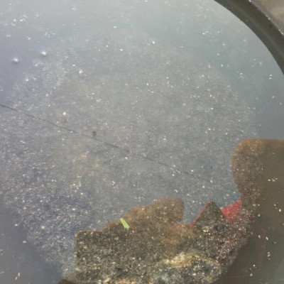 BỘT MẦM ĐẬU NÀNH NGUYÊN CHẤT MẸ KEN 1ký - nở nang săn chắc vòng 1, giảm nám sạm da