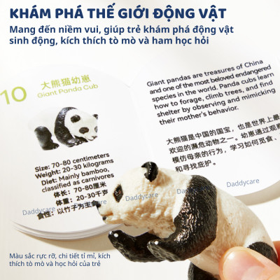 Đồ Chơi Mô Hình Động Vật Similation Toy Set Mideer, Đồ Chơi Giáo Dục Cho Bé 2,3,4,5,6 tuổi