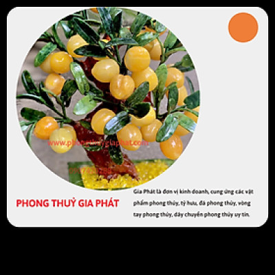 Cây đào phong thuỷ ngọc hoàng long 28 quả|phongthuygiaphat