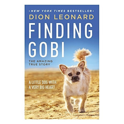 Finding Gobi