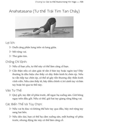 Sách - Yin Yoga - Tâm Yên Bình, Đẹp Dáng Xinh - Quảng Văn