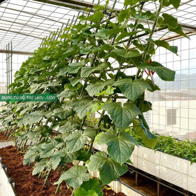 10 ống thép bọc nhựa phi 20 dài 270cm chuyên dùng làm giàn cho cây leo dùng bền từ 5 năm ở nhiệt độ ngoài trời dụng cụ làm vườn nhật bản Daim