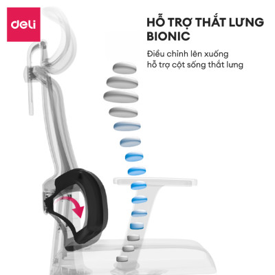 Ghế Xoay Văn Phòng Công Thái Học Cao Cấp Có Ngả Lưng Tựa Cổ 2D Gối Tựa Lưng Dưới Deli - Hỗ Trợ Đốt Sống Cổ Tối Ưu Tư Thế Ngồi - Ghế Giám Đốc Bảo Hành 3 Năm