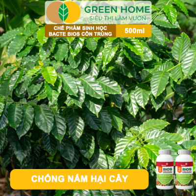 Chế Phẩm Sinh Học Bacte Bios Côn Trùng, Green Home, Chai 500ml, Từ Thảo Mộc, Hiệu Lực Nhanh Mạnh