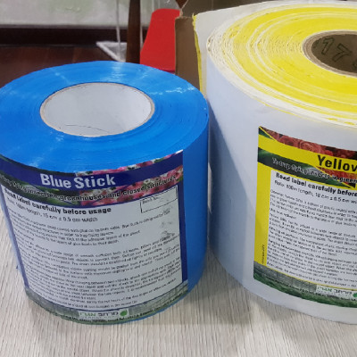 Keo Bẫy Bọ Trĩ nhập khẩu Israel (cuộn 100M) dùng bẫy bọ trĩ và côn trùng khác hiệu quả trong nông nghiệp làm vườn 