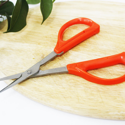 Kéo cắt nho cao cấp Nhật Bản Chikamasa B-300S