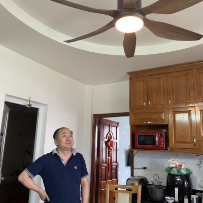 sải cánh 1m67 dài, Quạt trần 6 cánh có đèn Led trang trí, điều khiển từ xa, động cơ DC 6 số tiết kiệm điện