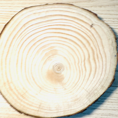 Tranh Vẽ Tay Trên Gỗ Aurora Rose Decor Trang Trí Quán Cà Phê Resort Handmade Độc Bản