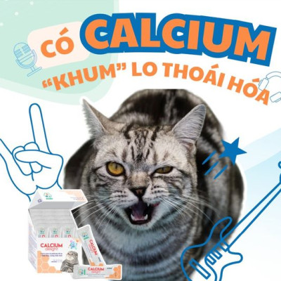 BOSSEN - Revital Thực Phẩm Hỗ Trợ Giảm Ngứa cho Chó - Hộp 10 viên