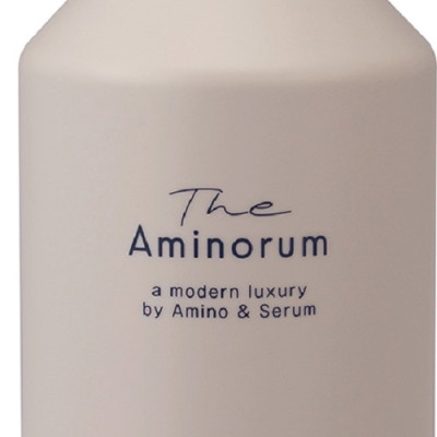 Dầu Xả Phục Hồi Tóc Gãy Rụng Và Hư Tổn Salon Link The Aminorum Treatment (400 mL)