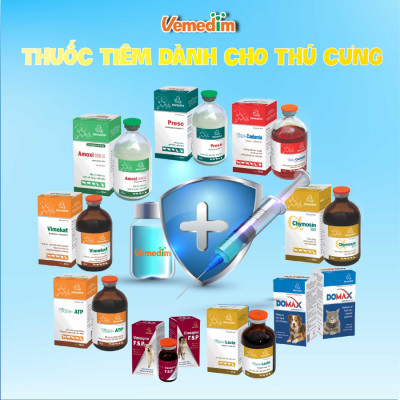 Vemedim Genta 30 thuốc nhỏ mắt chó, mèo, chai 10ml