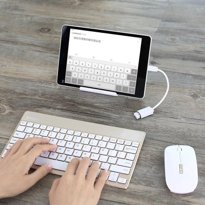 Ugreen UG10822US133TK 12CM màu Trắng Cáp chuyển đổi MICRO USB sang USB âm hỗ trợ OTG - HÀNG CHÍNH HÃNG