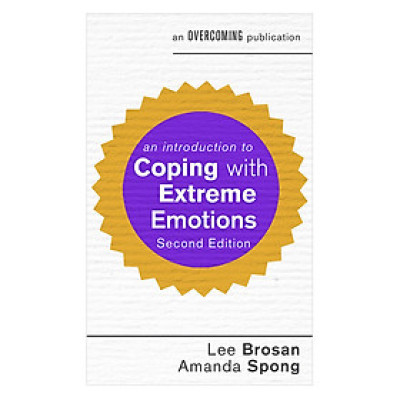 An Introduction To Coping With Extreme Emotions 