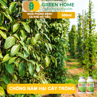 Chế Phẩm Sinh Học Bacte Bios Phòng Bệnh Cà Phê Hồ Tiêu, Green Home, Chai 500ml, Hiệu Lực Nhanh Mạnh