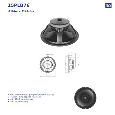 Loa Rời 4 TẤC B&C SPEAKERS 15PLB76 (1 cái) – Hàng Chính Hãng