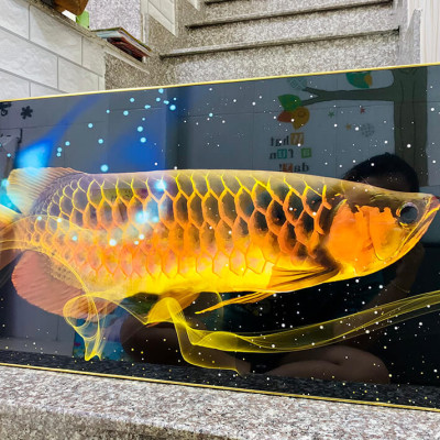 TRANH TRÁNG GƯƠNG - TRANH PHONG THUỶ - TRANH TREO PHÒNG KHÁCH - TRANH TRÁNG GƯƠNG CÁ RỒNG PHONG THUỶ(TẶNG KÈM ĐINH 3 CHÂN)