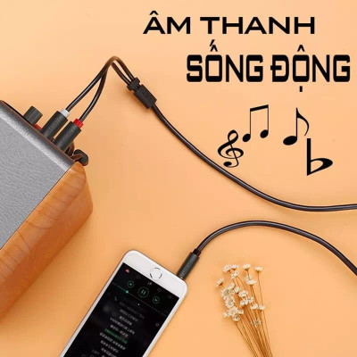 Ugreen UG10512AV116TK 3M màu Đen Cáp âm thanh 2 đầu Bông sen sang 3.5mm dương - HÀNG CHÍNH HÃNG