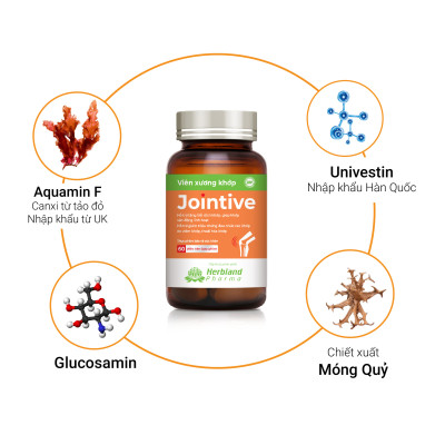 Viên xương khớp JOINTIVE cải thiện và bảo vệ sức khỏe xương khớp (60 viên)