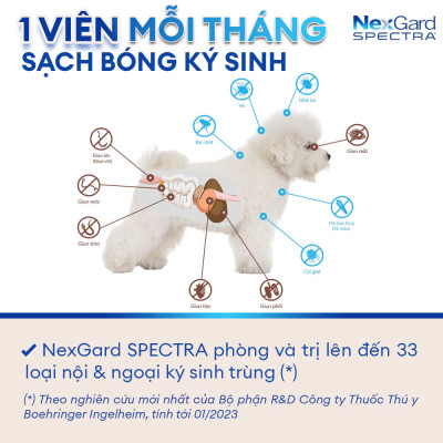 Nexgard Spectra - Phòng Và Diệt Ve Rận, Bọ Chét, ghẻ Demodex  Nội Và Ngoại Ký Sinh Trùng Cho Chó