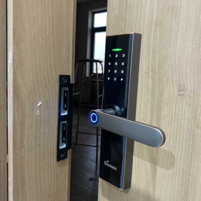 Khóa vân tay DEMAX SL266 GS