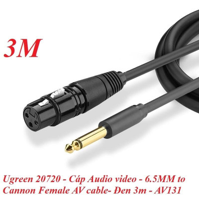 Ugreen UG20719AV131TK 2M màu Đen Cáp âm thanh 6.5mm sang cannon âm - HÀNG CHÍNH HÃNG