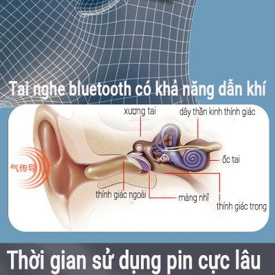Tai Nghe Dẫn Khí Qua Xương Cao Cấp Teement Tai Nghe Bluetooth Không Dây Dành Cho Thể Thao Và Chạy Bộ - Hàng Chính Hãng