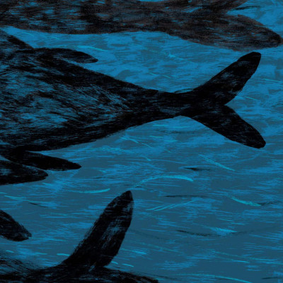 Sách - Boxset Cá Voi Đêm Bão Và Những Câu Chuyện Khác (Bộ 5 Cuốn) (Tái Bản 2025)